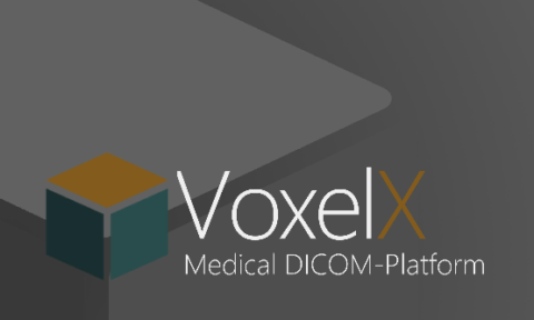 VoxelX ICO